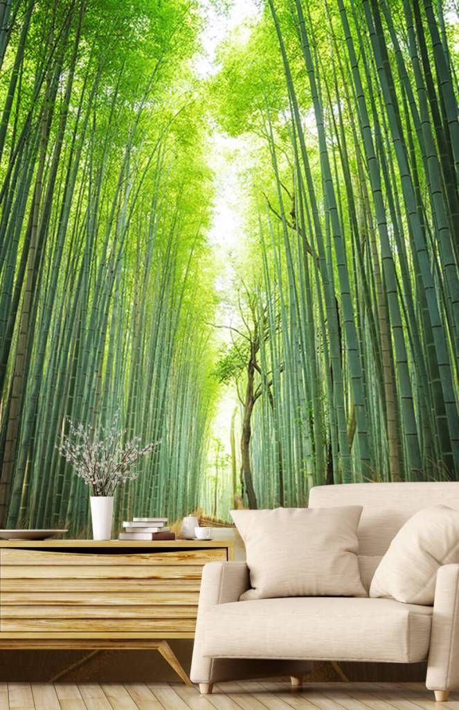3D Bamboo Forest B378 Business Wallpaper Wall Mural Self-adhesive Commerce  Amy | eBay
