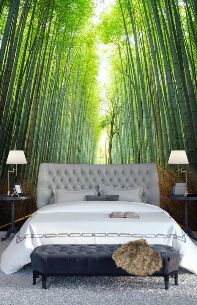 Tall Bamboo Tree Forest Wall Mural. Yoga Studio Wallpaper. #6463 –  StickerBrand