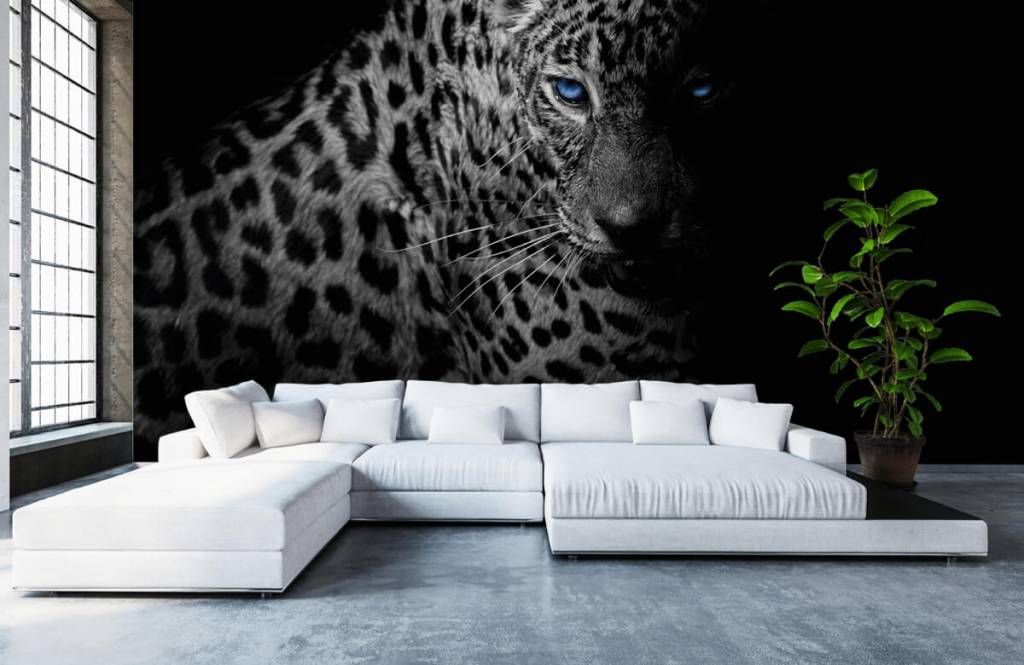 Sitting Leopard – elegant wall mural – Photowall