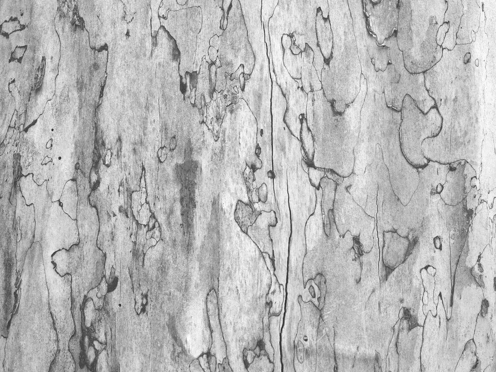42 Tree Bark Wallpaper  WallpaperSafari