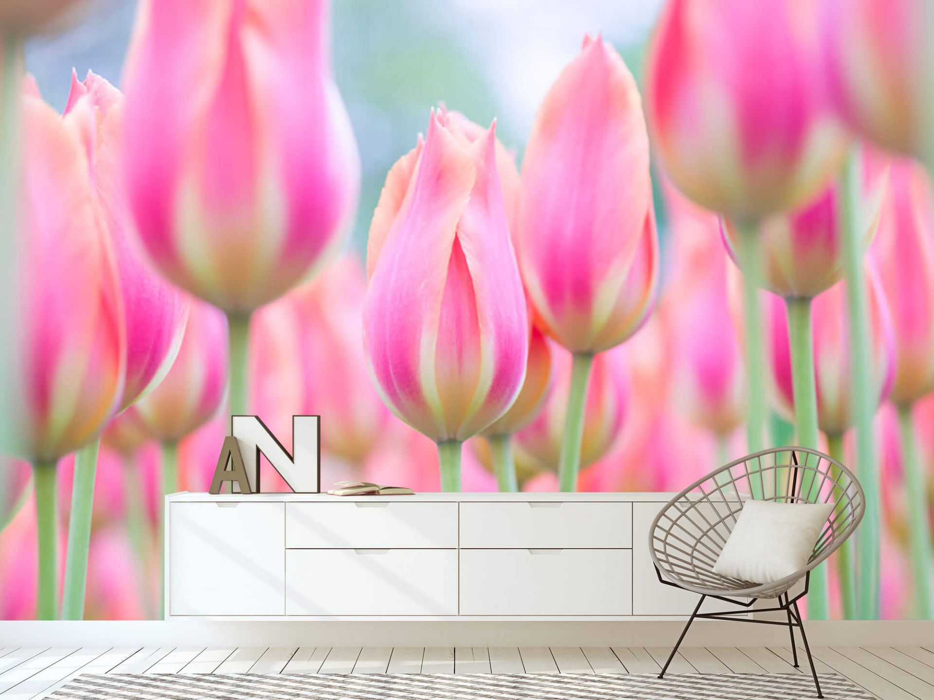 pink tulip wall art