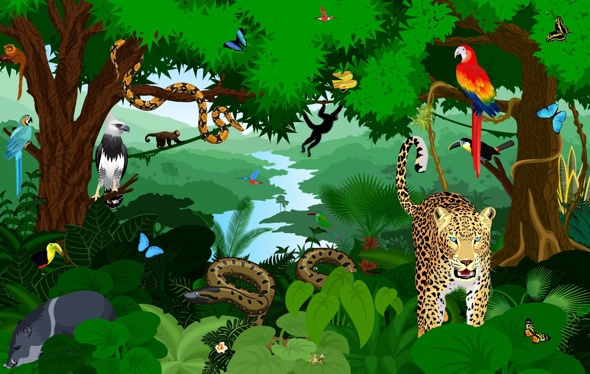 amazon rainforest background animated