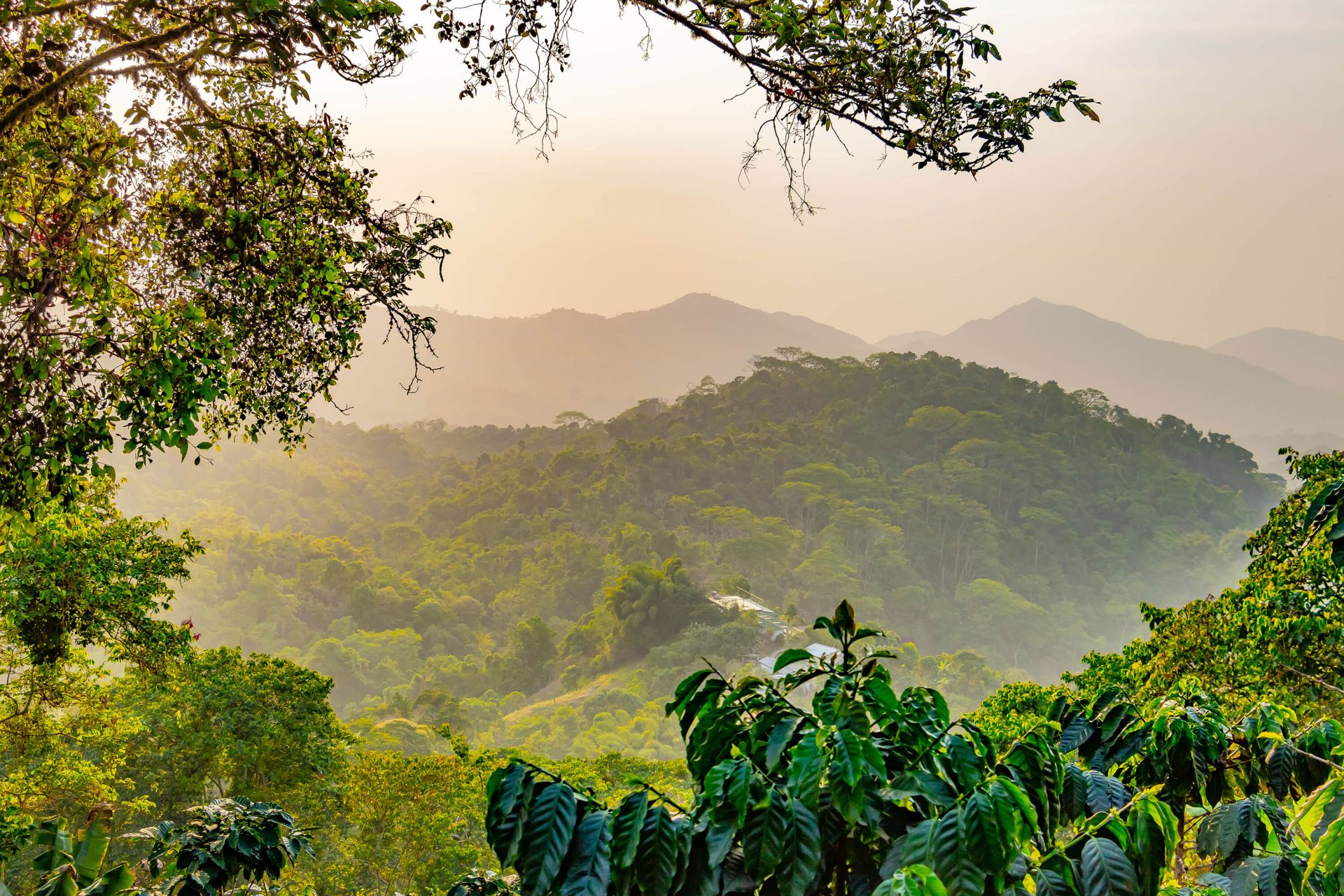 Tropical mountain landscape - Wallpaper