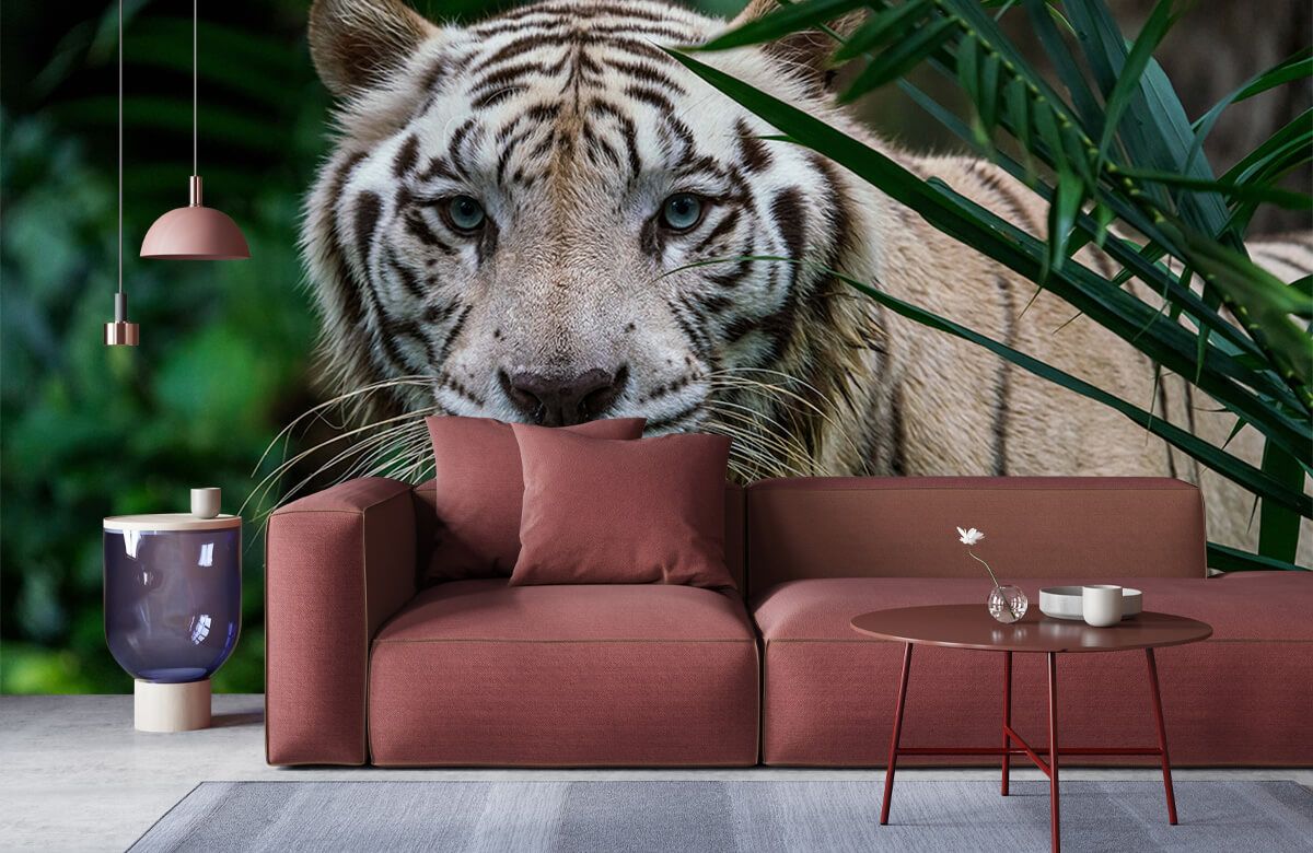 white tiger coffee table