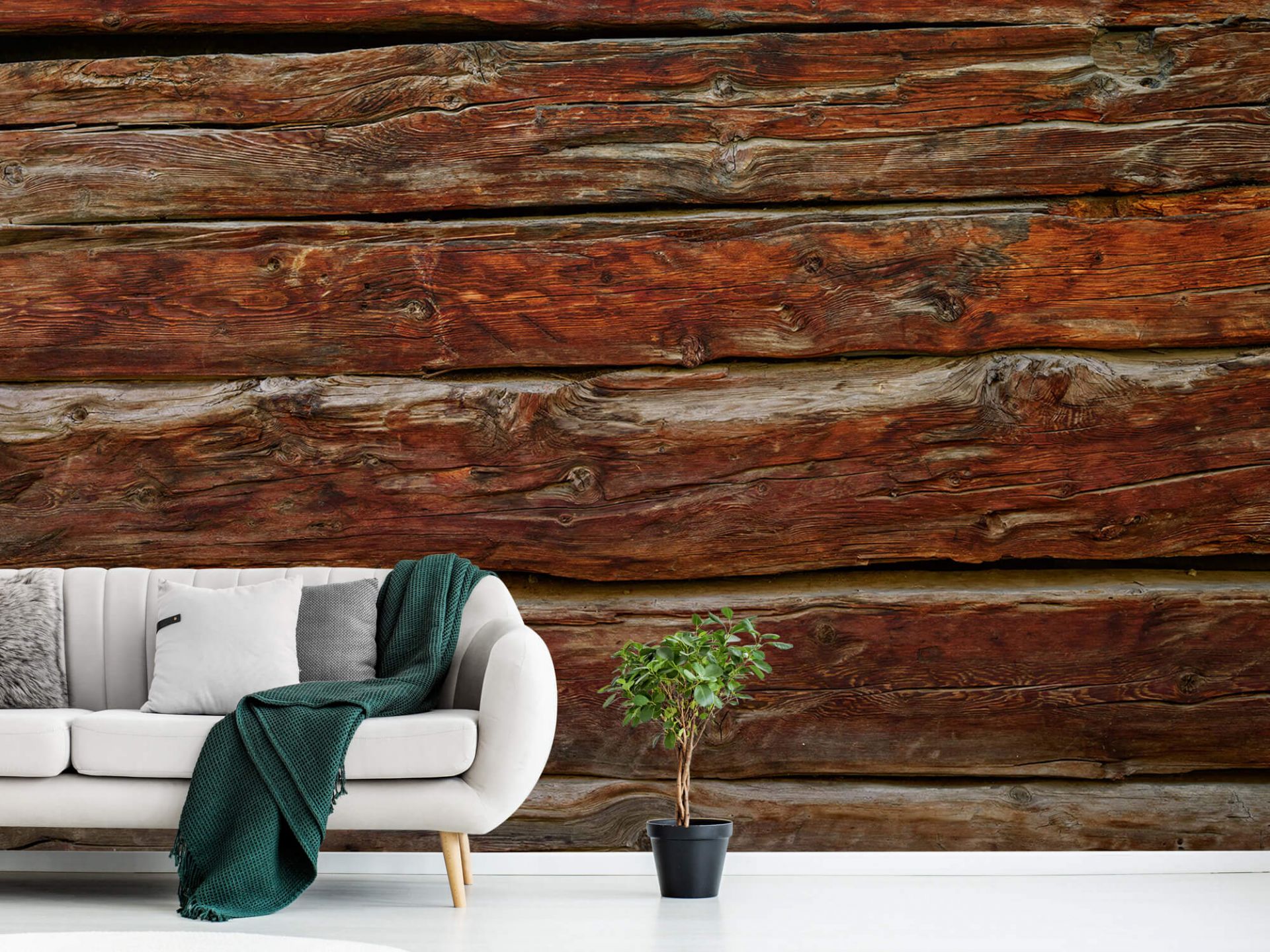 Rough wood planks - Wallpaper