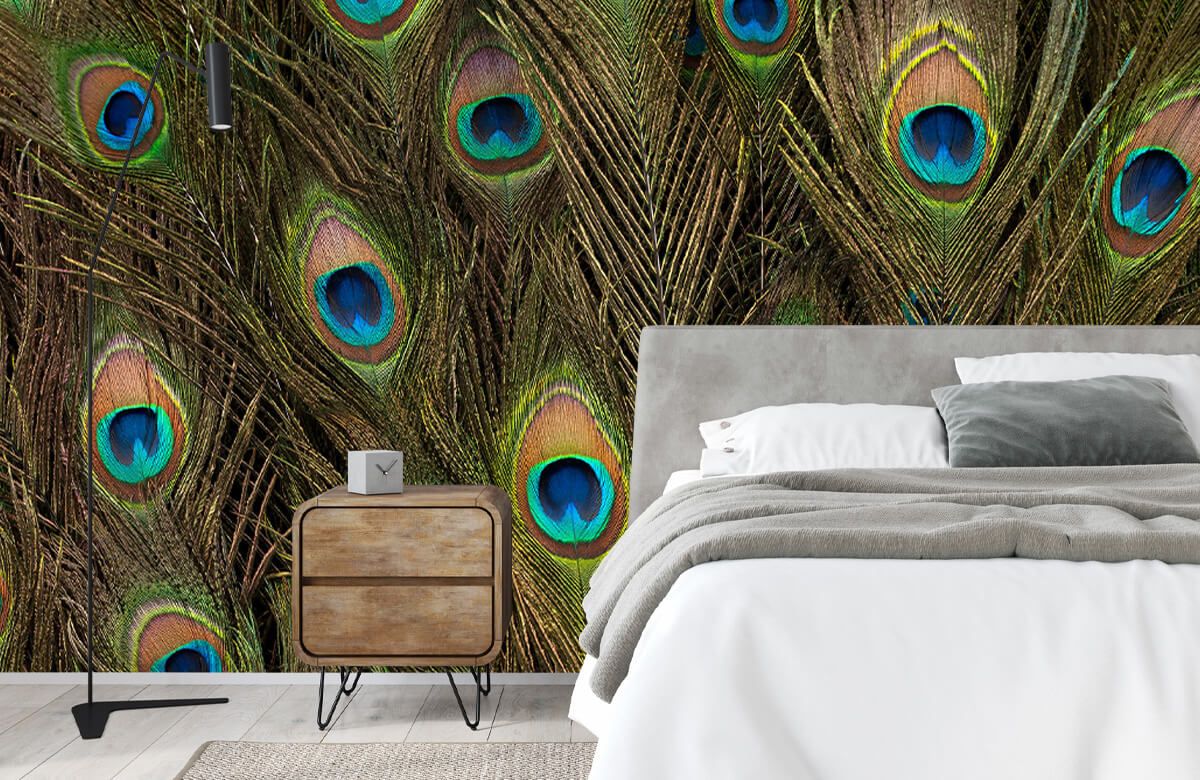 Abstract White Feathers Wallpaper Mural, Custom Sizes Available – Maughon's