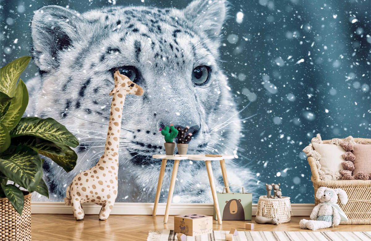 Snow Leopard – trendy wall mural – Photowall