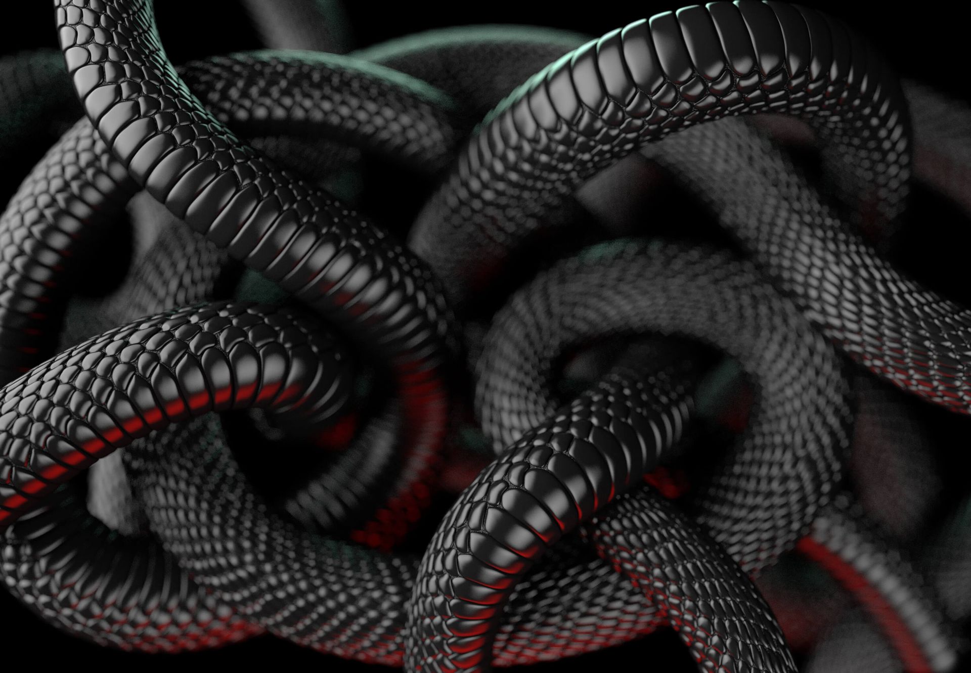 Aesthetic black snake HD wallpapers  Pxfuel