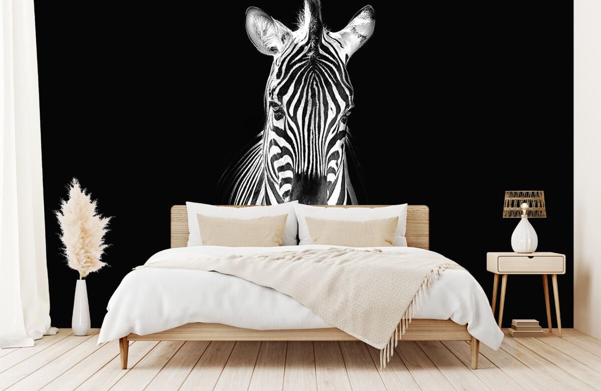  Zebra Removable Wall Mural Animal Self-Adhesive Large Wallpaper  Black and White for Walls Living Room Bedroom TV Background Kids Girls  Rooms Decoration 157x110 Inch : Tools & Home Improvement
