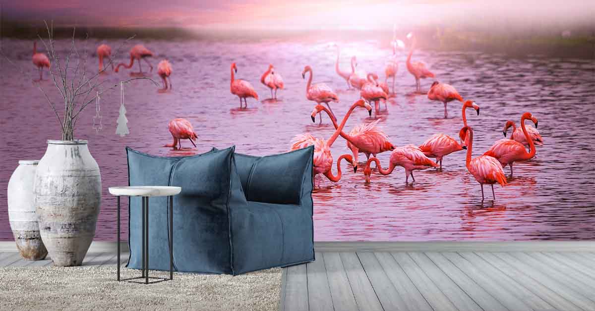 Flamingos